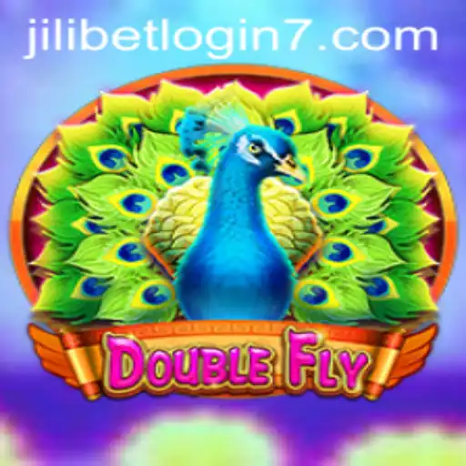 DoubleFly: Navigating the Thrilling Skies